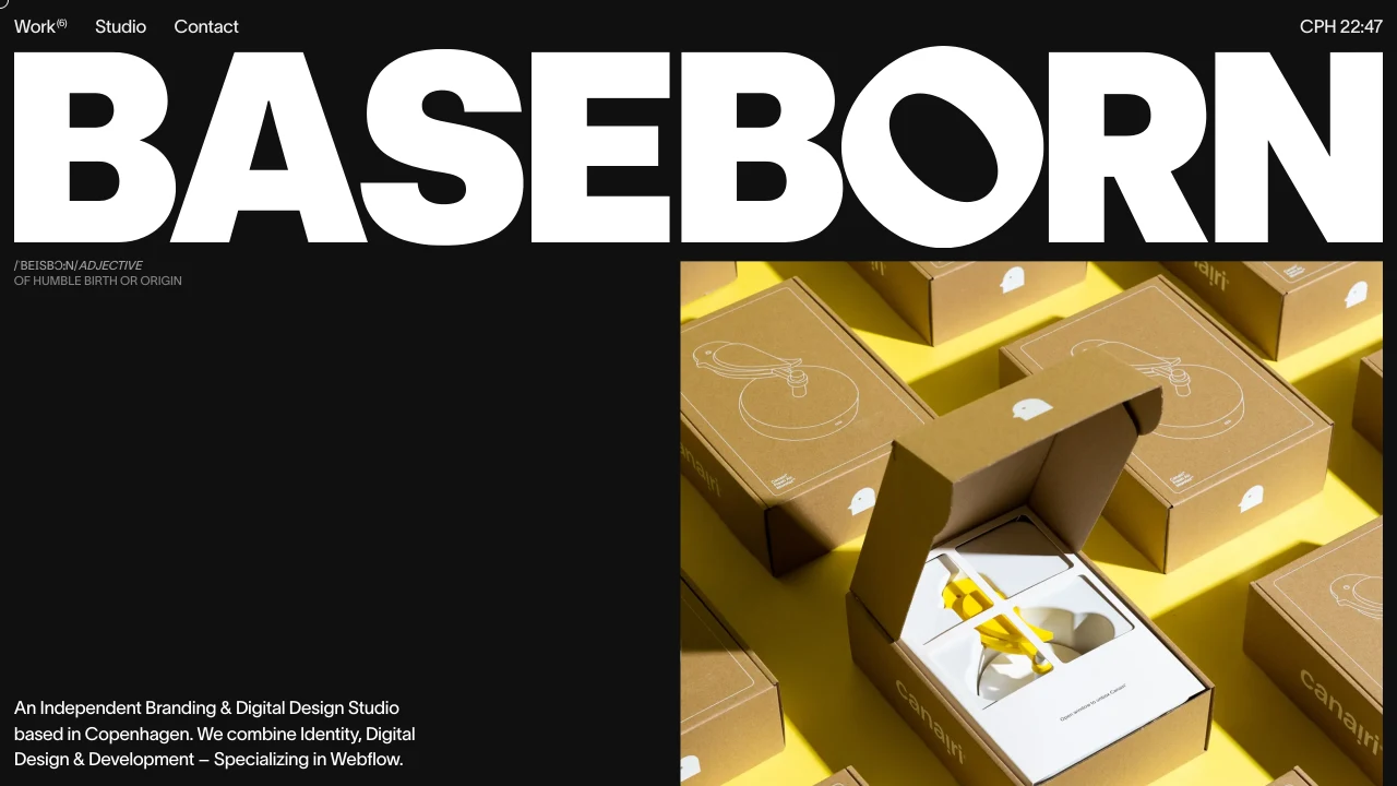 Skærmbillede af BASEBORNs website
